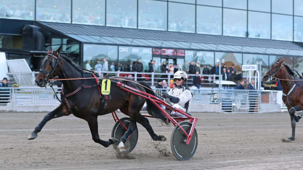 Foto: MARIA HOLMÉN / TR BILD