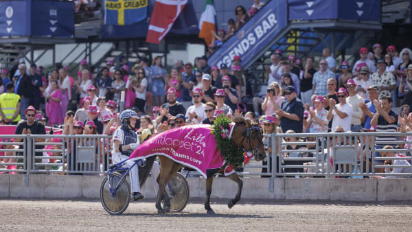 Foto: LENA EMMOTH / TR BILD