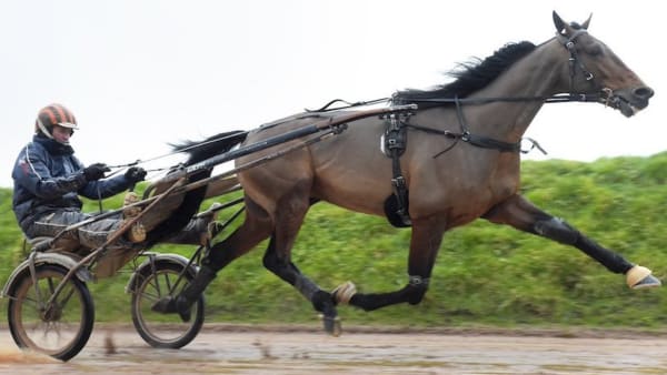 Foto: Lars Jakobsson