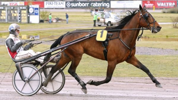 Foto: Maria Holmén/TR Bild