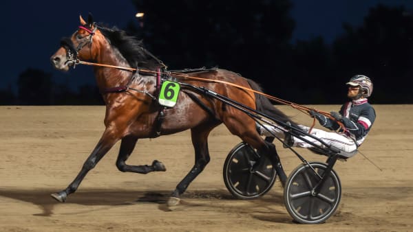 Foto: MIKAEL ROSENQUIST / TR BILD