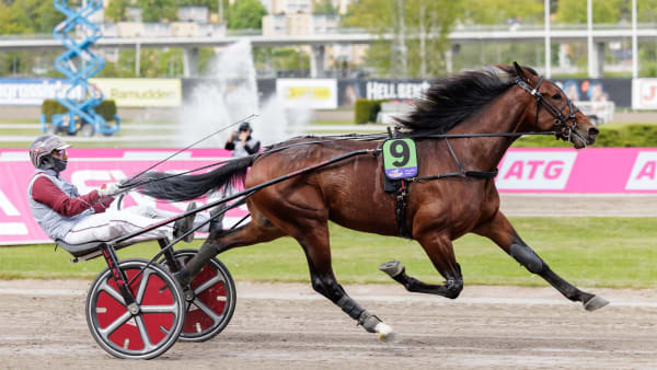 Foto: LENA EMMOTH / TR BILD