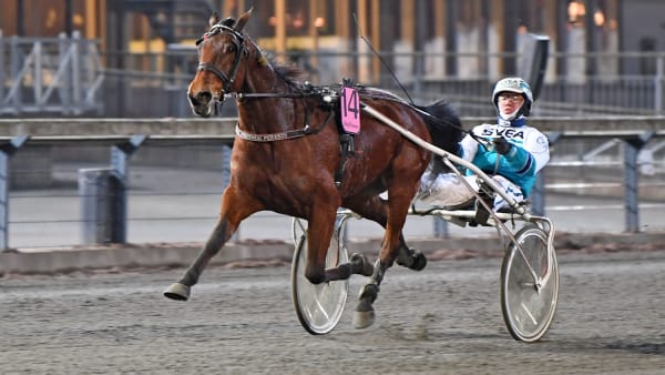 Foto: MALIN ALBINSSON / TR BILD