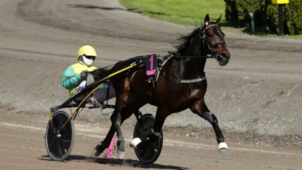 Foto: MATILDA ÖHRMAN / TR BILD