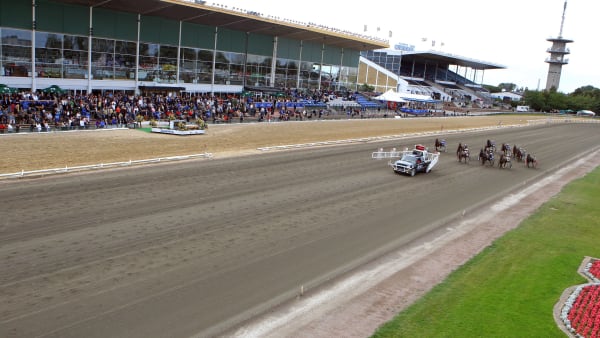 Foto: MIA TÖRNBERG/TR BILD