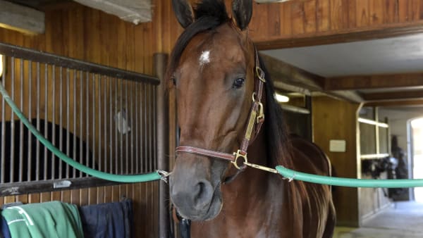 Foto: LARS JAKOBSSON / TR BILD