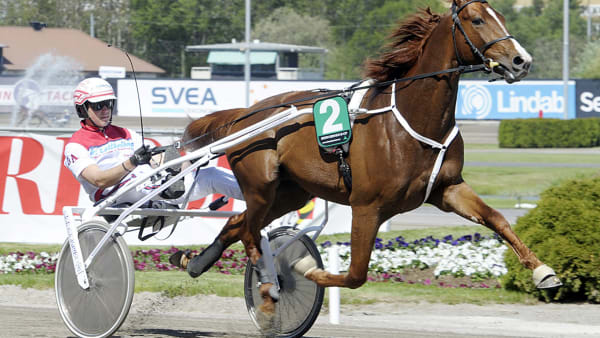 Foto: LEIF NORBERG/ALN