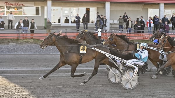 Foto: JENNY REHNMAN / TR BILD