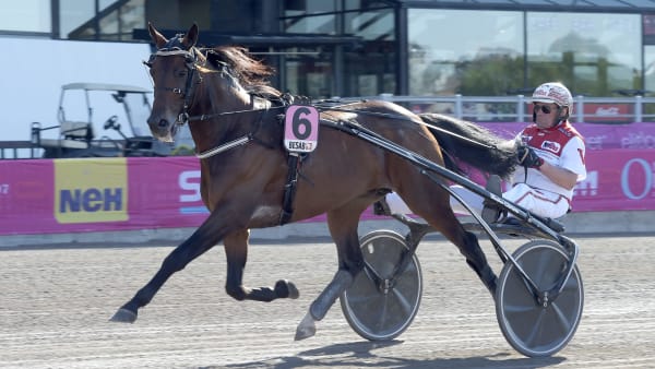 Foto: LARS JAKOBSSON / TR BILD