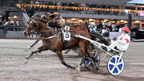 Foto: MALIN ALBINSSON / TR BILD