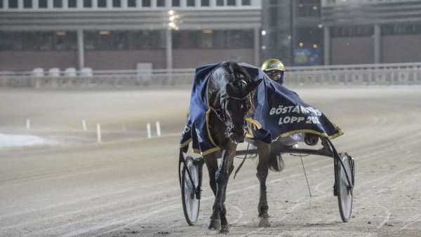 Foto: LARS JAKOBSSON / TR BILD