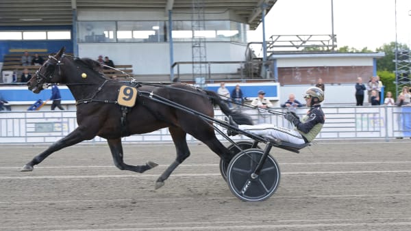 Foto: LARS JAKOBSSON / TR BILD