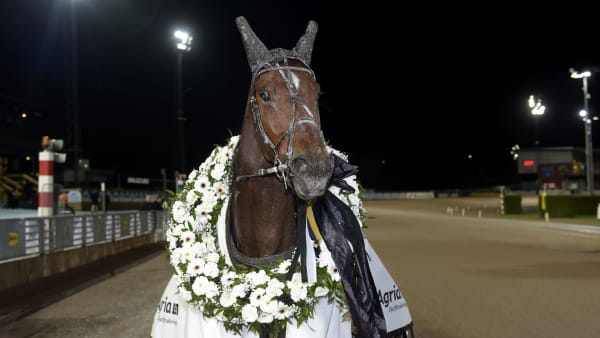 Foto: LARS JAKOBSSON / TR BILD