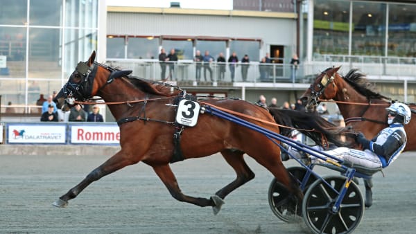 Foto: MARIA HOLMÉN / TR BILD