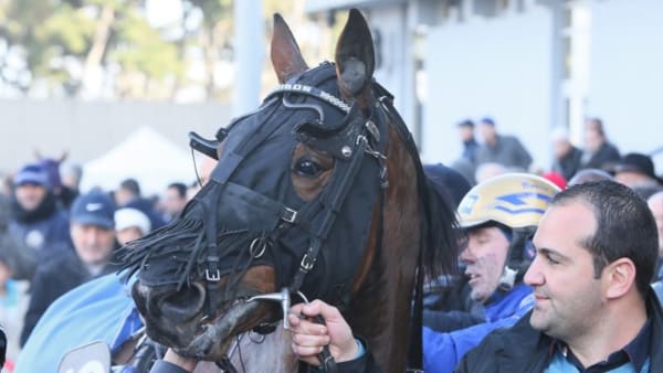 Foto: JEANNIE KARLSSON/Travronden