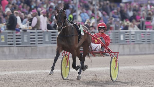 Foto: THOMAS BLOMQVIST / TR BILD