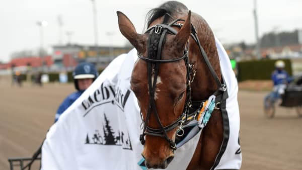 Foto: LARS JAKOBSSON / TR BILD