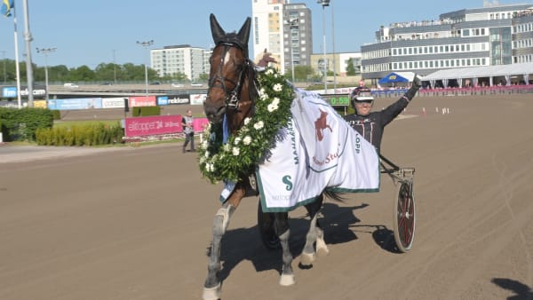 Foto: LARS JAKOBSSON / TR BILD