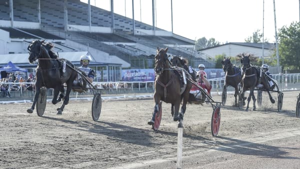 Foto: LARS JAKOBSSON / TR BILD