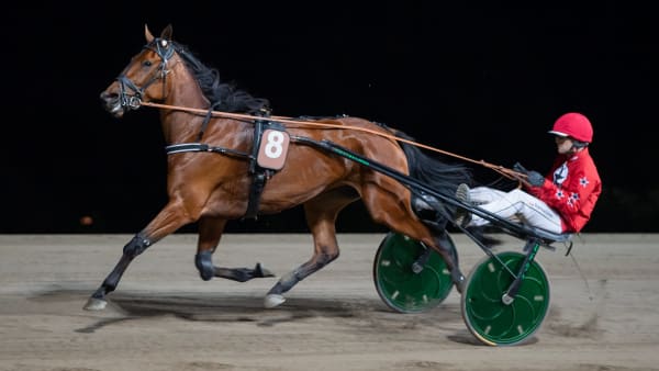 Foto: MIKAEL ROSENQUIST / TR BILD