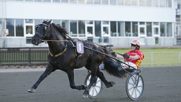 Foto: MARIA HOLMÉN / TR BILD