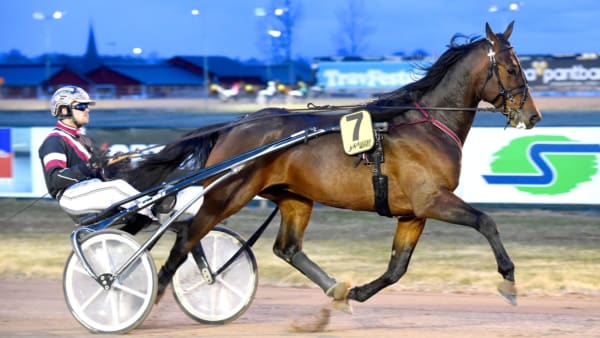 Foto: Martin Langels/ALN