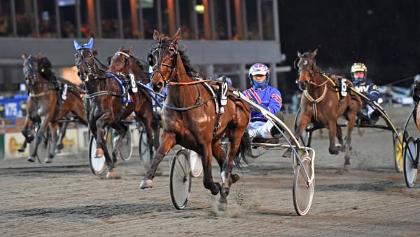 Foto: MALIN ALBINSSON / TR BILD