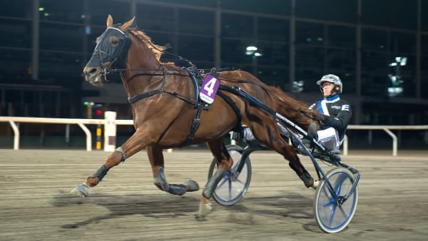 Foto: MIKAEL ROSENQUIST / TR BILD