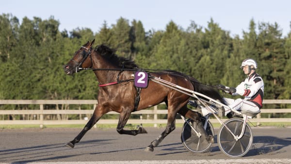 Foto: LENA EMMOTH / TR BILD