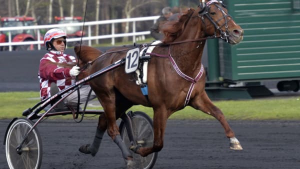 Foto: Stefan Melander/stalltz.se