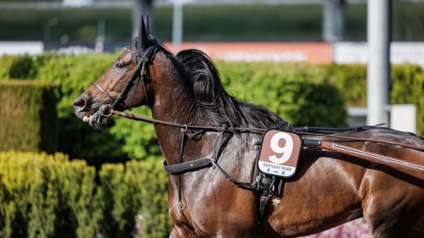 Foto: LENA EMMOTH / TR BILD