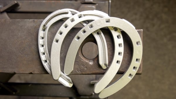 Foto: THOMAS BLOMQVIST/TR BILD