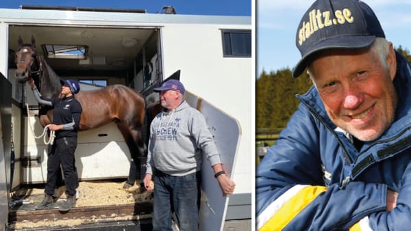 Foto: STALLTZ.SE/TR BILD