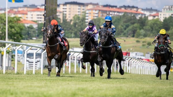 Foto: ELINA BJÖRKLUND/SVENSK GALOPP