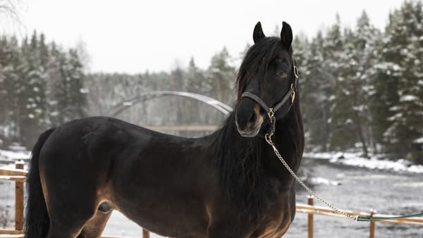 Foto: LENA EMMOTH / TR BILD