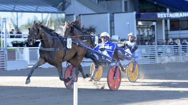 Foto: LARS JAKOBSSON / TR BILD