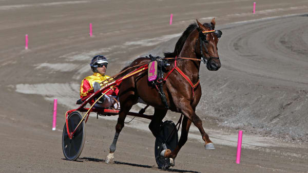 Foto: MATILDA ÖHRMAN / TR BILD