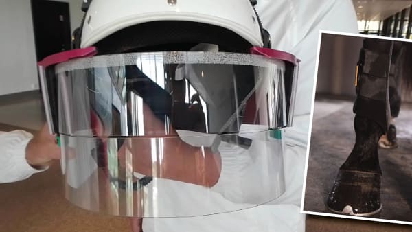 Foto: Lucas Ericsson/Walkbeat Horses