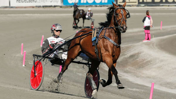 Foto: LENA EMMOTH / TR BILD