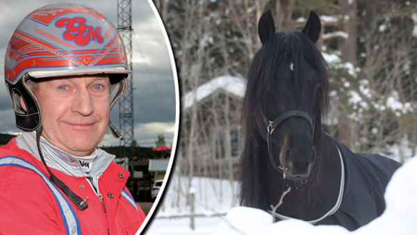 Foto: TR BILD (vänstra), Patrick Sjöö (högra)