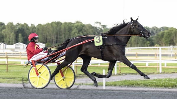 Foto: LENA EMMOTH / TR BILD