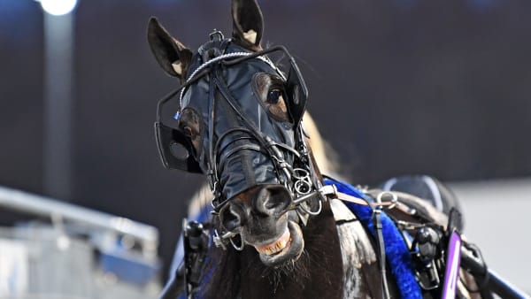 Foto: MALIN ALBINSSON / TR BILD