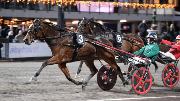 Foto: MALIN ALBINSSON / TR BILD