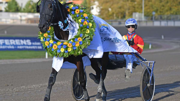 Foto: MALIN ALBINSSON / TR BILD