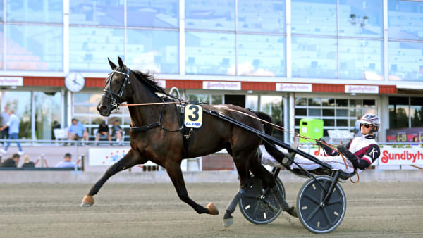 Foto: MARIA HOLMÉN / TR BILD