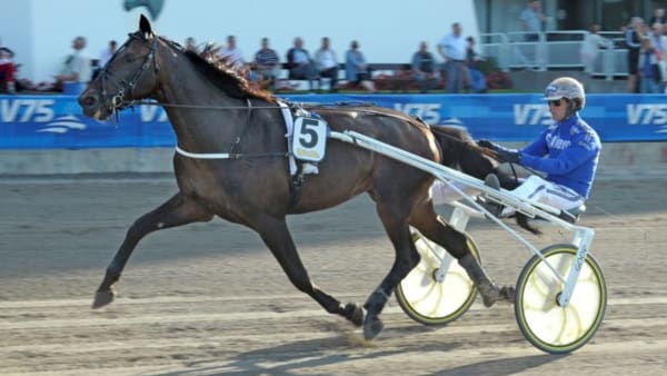 Foto: TOMMY ANDERSSON/ALN