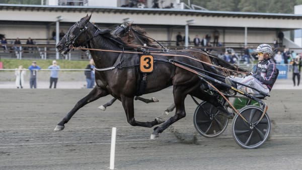 Foto: LENA EMMOTH / TR BILD