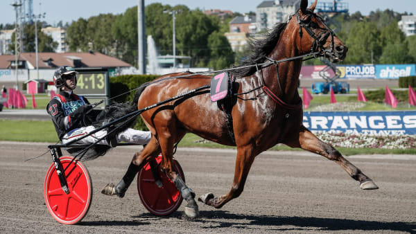 Foto: LENA EMMOTH / TR BILD