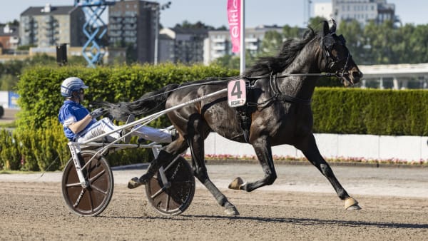 Foto: LENA EMMOTH / TR BILD