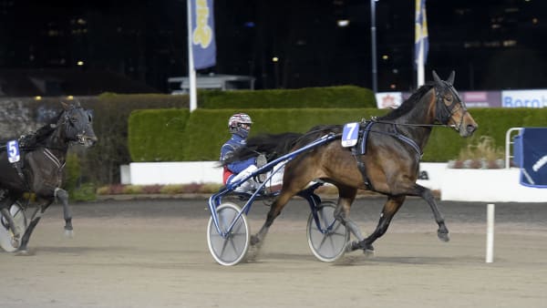 Foto: LARS JAKOBSSON / TR BILD